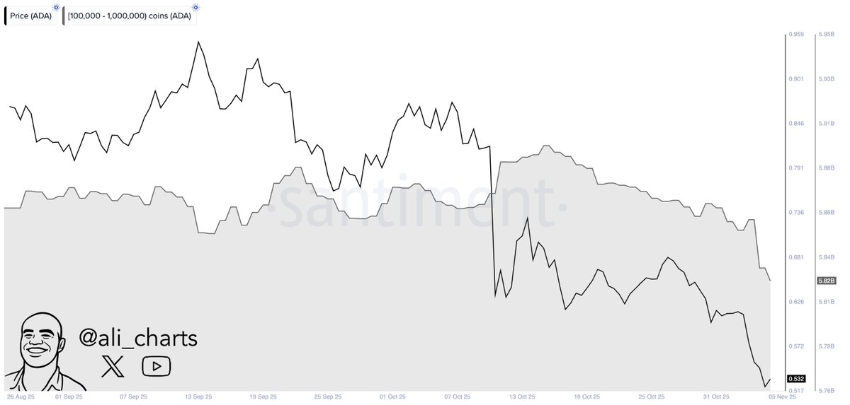 Cardano大户削减持仓 - 7天内抛售400万枚ADA